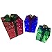 CELEBRATIONS 9044187 LED Gift Box Set Yard Decor