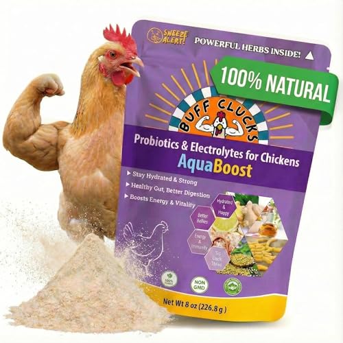 Buff Clucks AquaBoost Probiotic + Electrolyte Powder for Chickens Natural Hydration & Gut Support Supplemnet for Daily Wellness & Egg Production - Safe for All Flocks & Ages - USA (8 oz)