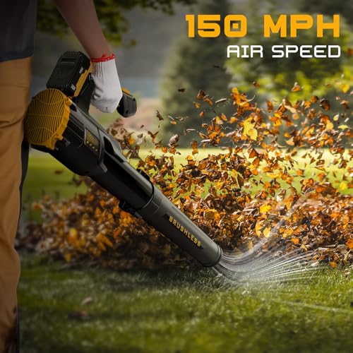 Cordless Leaf Blower and Vacuum