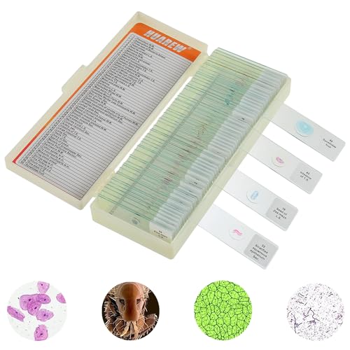 HUAREW 60 Pcs Lames Microscope pour Enfant avec échantillons biologiques,plantes, insectes,...