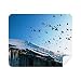 Birds House White Snow Sky Cleaning Cloth Screen Cleaner 2pcs Suede Fabric