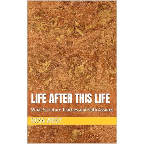 Life After This Life Audiolibro Por Ross West arte de portada
