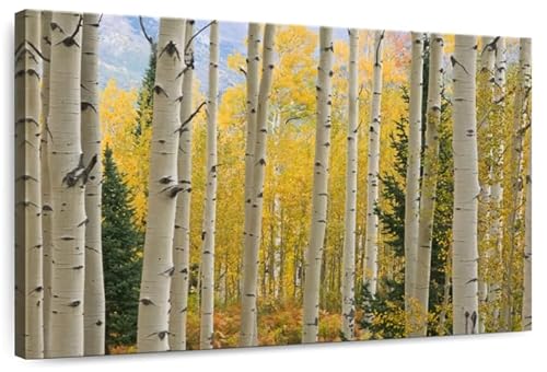 ElephantStock Elk Mountain Aspen Trees Canvas - 1 Panel Fall