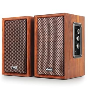 40W Bluetooth Bookshelf Speakers,Computer Speakers,2.0 AC Powered Wooden PC Speakers with Strong Bass,7.28″ X 2 AC Powered USB Input Speakers with DSP,Wooden Speaker for Laptop (C5201-US)