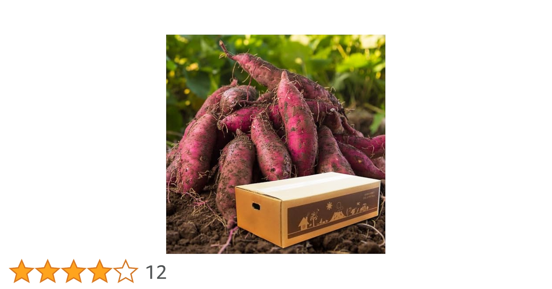 Amazon.co.jp: 【新芋】紅はるか 5kg 土付き 生芋 (M～2Lサイズ