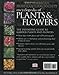The American Horticultural Society Encyclopedia of Plants and Flowers (American Horticultural Society Practical Guides)