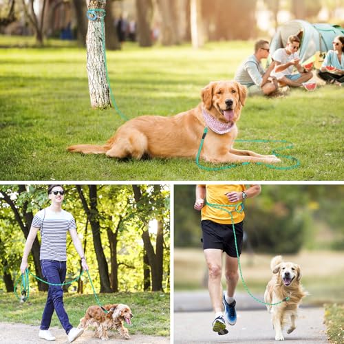 Aystkniet Schleppleine für Hunde, 5M 10M 15M 20M 30M Lange schleppleine mit 2 Wirbelhaken, Trainingsleine für Kleine Mittlere und Große Hunde, Starke Hundeleine Laufleine für Große Hunde bis 150kg