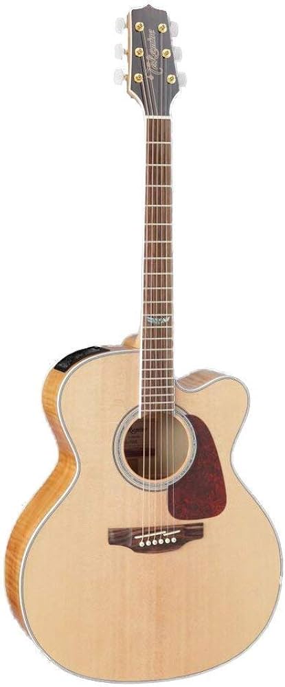 Amazon.com: Takamine 6 String Acoustic-Electric Guitar, Right