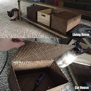 Shelf Storage Baskets with Lid, 2-Pack Wicker Storage Bakset, Woven Seagrass Decorative Boxes Storage Basket, Coffee Large+XLarge Shelf Storage Baskets with Lid 2 Pack Wicker Storage Bakset Woven Seagrass Decorative Boxes Storage Basket Coffee LargeXLarge