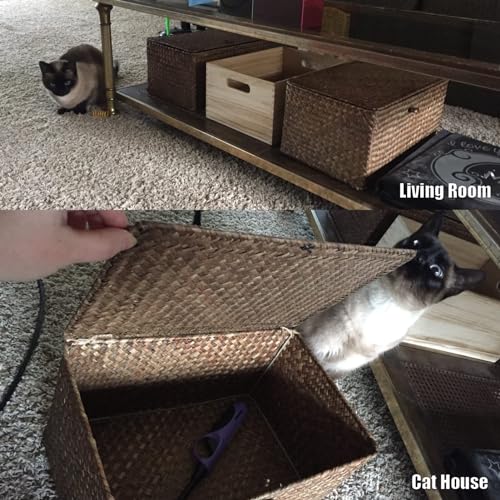 Shelf-Storage-Baskets-with-Lid-2-Pack-Wicker-Storage-Bakset-Woven-Seagrass-Decorative-Boxes-Storage-Basket-Coffee-LargeXLarge Shelf Storage Baskets with Lid 2 Pack Wicker Storage Bakset Woven Seagrass Decorative Boxes Storage Basket Coffee LargeXLarge