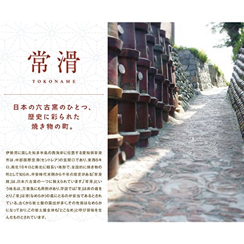 Yamashita Kogei 13035120 Tokoname Ware Shuman Mud Kiln Metamorphine Leather Teapot, 6.3 Fl Oz (190 Cc) #TOP1