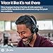 POLY Voyager Focus 2-M USB-C-C Headset USB-C/A Adapter Charging Stand (A4HT5AA)