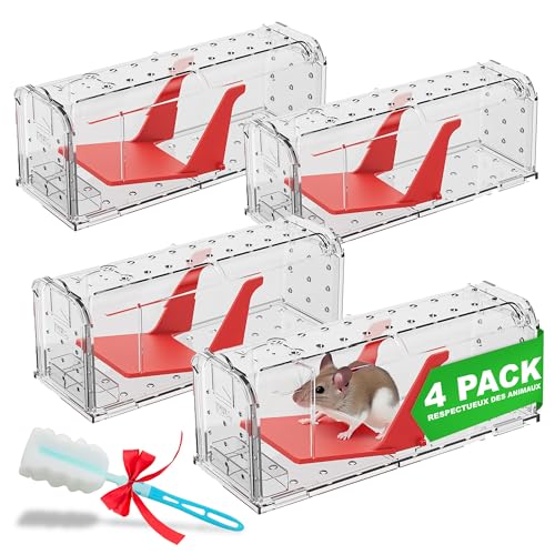 Roshield 4 X pièges à Souris sans cruauté pour l'intérieur et l'extérieur Piège antiparasitaire Durable pour la Capture Vivante. Piège à Souris réutilisable pour rongeurs. Capteur Rapide & Efficace