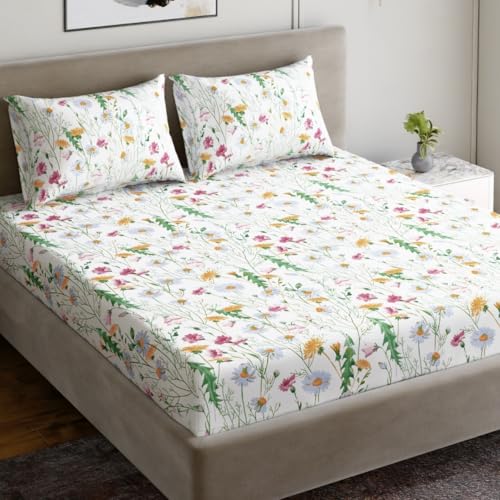 Image of Dreamscape 100% Cotton Bedsheet for Double Bed, 186 TC, 1 Bed Sheet (Size 87 x 94 inches) with 2 Pillow Covers - Pink