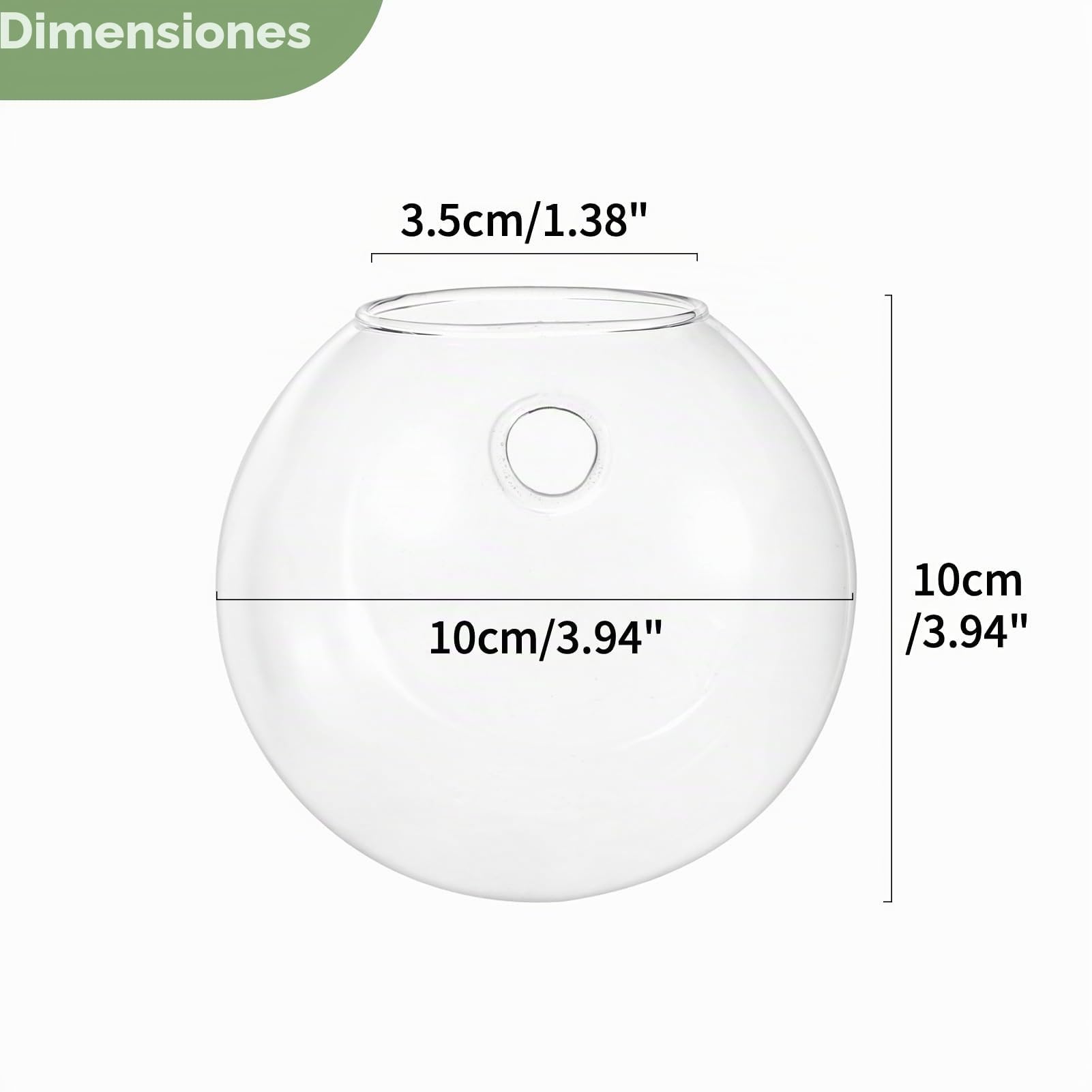 Nuptio 4 Piezas de Macetas de Vidrio para Colgar en la Pared, 10cm de Diámetro, Maceta de Vidrio Redonda, Jarrones para Plantar Agua, Florero de Aire, Terrarios de Plantas, Contenedor de Plantas