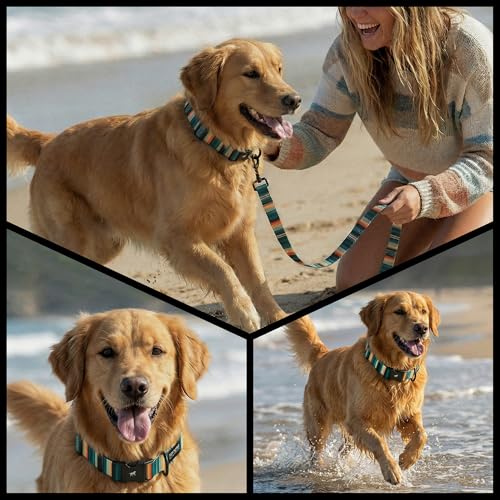 Image of Tuff Pupper Premium Adjustable Dog Collar for Small Boy & Girl Dogs, Stylish Pattern Collars Designed in USA, Quick Release Buckle, SacredTribe Print, Small (0.7 Inch Wide x 8-12 Inch Neck)