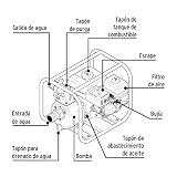 Motobomba Truper 3 pulgadas 6 Imagen adicional
