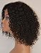 Chantiche Afro Kinky Curly Lace Wig For African Americans 100% Brazilian Remy Human Hair Glueless Full Wigs Invisible Left Side Parting Natural Color 14 Inches