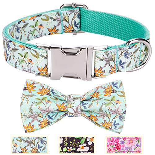 Retro Shaw Dog Collar, Dog Collar with Bow Tie, Extra Small Dog Collar, Dog Collar for Small Dogs, Personalized Dog Collar, Flower Pattern Pet Dog Collars for Girls Female Dog, Light Cyan, XS