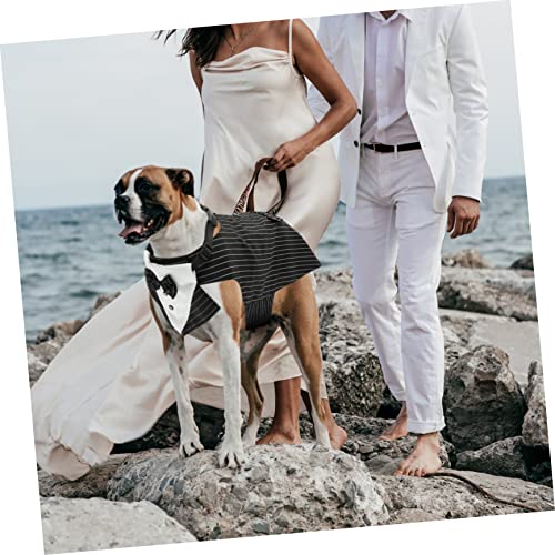 Disfraz para perro POPETPOP talla L con pañuelo miniatura 7