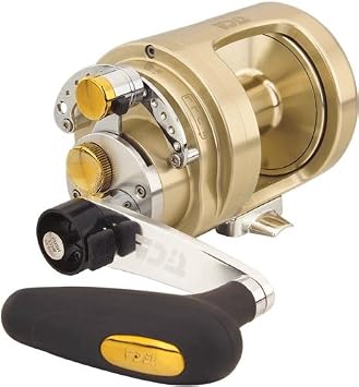 TICA Japan texika Japan Reel texika Team 3560e-12sd-e Champagne Gold