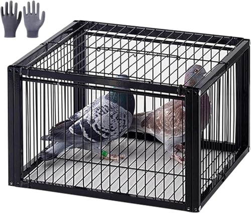 Rcuihak ߊl o[hgbv  Eoh~fUC ʍs̓ ng ߂@ Vt ̈ÍԊu JX΍ Q΍ Cugbv  EY hog LWog P[W gݗĊȒP AA뉀A_AOg