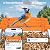 Smart Bird Feeder with Camera Solar Powered, 2K HD Video, AI Bird Species Identification, Instant Arrival Alerts, Squirrel-Proof & Weatherproof, Outdoor Bird Watching, Ideal Gift for Bird Lovers