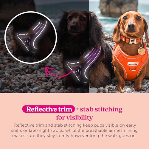 Harnais Doodlebone Airmesh réglable Dunes taille 4-7 chien de taille moyenne - 8