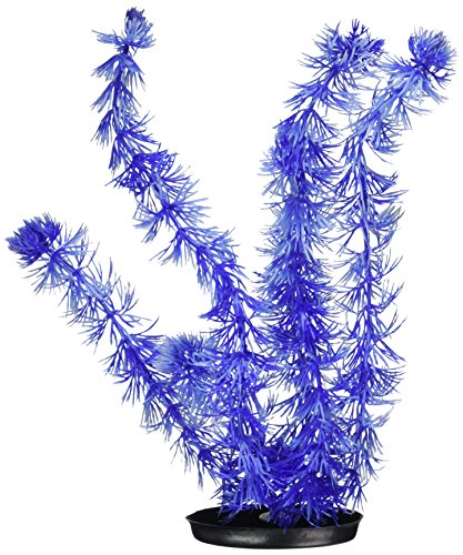 Marina Vibrascaper Hornwort Large Plant, 12-Inch