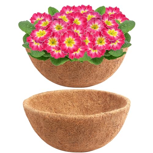 Y&M 18 Inch Coco Liners