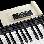 Removable Piano Keyboard Notes Labels for Beginner, Piano Keyboard Stickers for 61/88/54/49/37 Key, Made of Reusable Silicone Comes with Keyboard Dust Cover and Box Multicolor