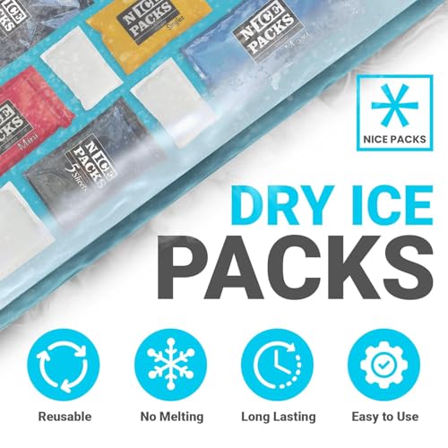 Image of Nice Packs Reusable Dry Ice Packs for Cooler & Lunch Boxes, 60 Cells | 10 Long Lasting Flat Ice Pack Sheets - Flexible Freezer Packs for Shipping Frozen Food, Ice Blankets for Food