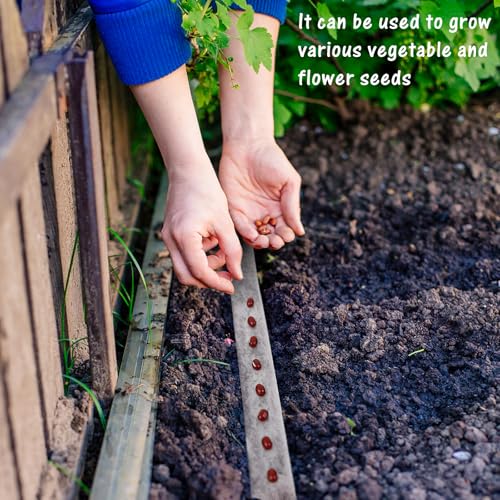 U0U 2PCS Water Soluble Seed Tape,Dissolves Quickly in Water Carrot Seed Tape for Planting,66FT Self Adhesive Vegetable Seeds Tapes for Kale, Lettuce,Onion (2, 0.7in x 66ft) - Thumbnail 6