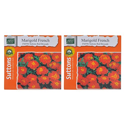 Suttons Sutton Seeds Marigold French-Sutton RED BROCADE-FM596 Flower Seeds-Pack of 02 (B07414GXWL) Amazon Price History, Amazon Price Tracker