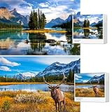 Jigsaw Puzzles for Adults, 2 Pack 1000 Pieces,Spirit Island National Park & Rocky Mountain Impossible Challenging Puzzles for Home Decor Bir