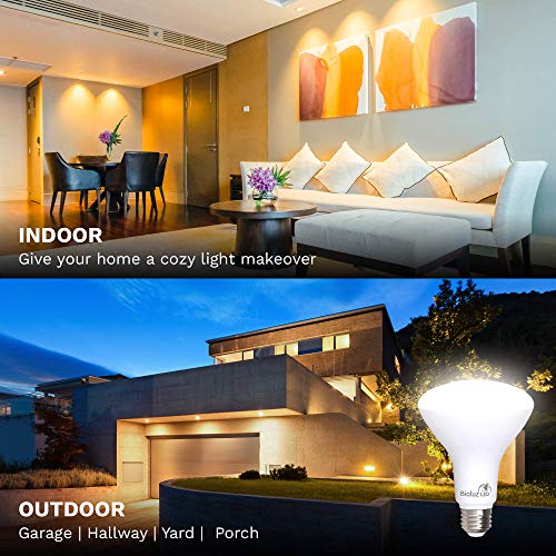 Bioluz Led 8 Pack 90 Cri Br30 Led Flood Light Bulbs Indoor Outdoor Instant On Dimmable Warm White 2700K Replaces 65-95 Watt Using 9.5 Watts Ul Listed Title 20 High Efficacy Lighting #TOP1