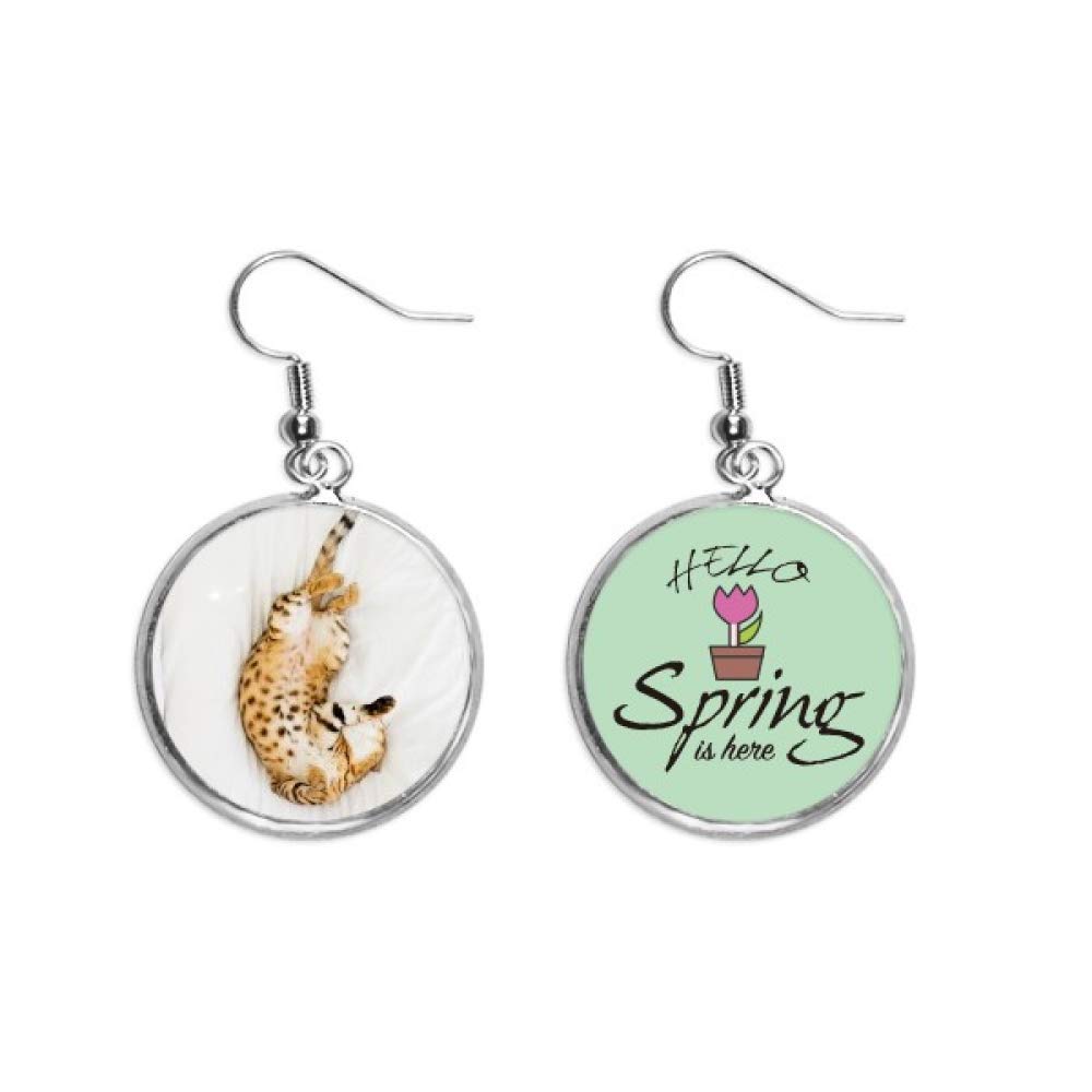 Pendientes de gato ocelote para looks de primavera con encanto 5