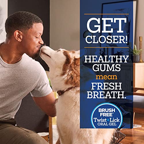 Vetality Brush Free Twist + Lick Dental Gel For Dogs | Continuously Cleans Teeth And Freshens Breath For 24 Hours | Tasty Chicken Flavor | Vet Formulated Dog Dental Care #TOP2