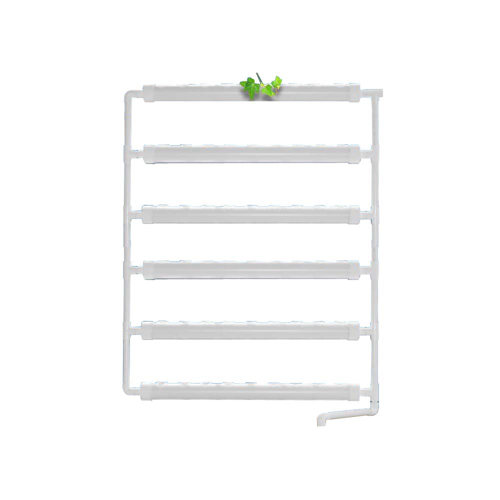 Amazon.com : TECHTONGDA Wall-Mounted Hydroponic Grow Kit Plant