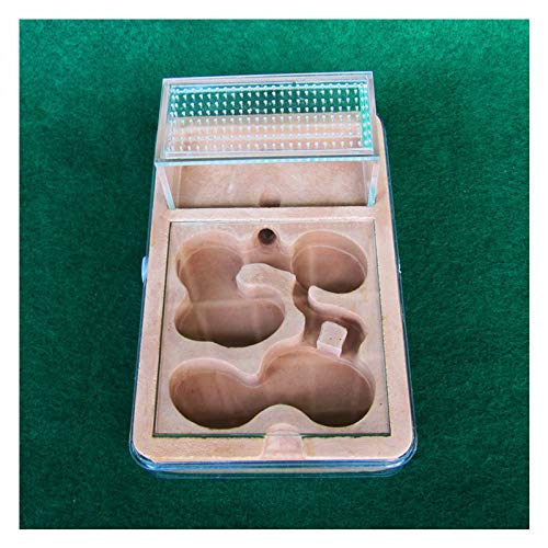 PLAFUETO Large Ant Farm Box Ant Home for Kids Study of Ant Ant Nest Farm Educational Formicarium for Ant