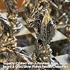 15 Dragon 3D Chess Set, Bronze & Silver Color, 2 Players