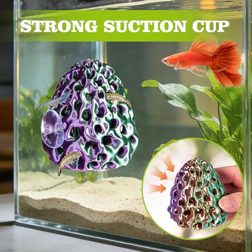 Image of Shrimp Dome Hide, Shrimp Hides for Aquarium, Betta Fish Hideout with Suction Cup, Betta Habitat Tank Ornament Accessories, Aquarium Decor for Small Fish Guppy Hiding Resting (Lid Green Purple)