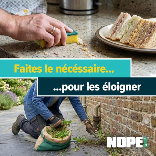 NOPE! CP Spray Anti-Araignées 500ml – Maison Intérieur & Extérieur – Inodore & à Base d’Eau – Longue Durée Sans Solvants ni Gaz Propulseurs – vue 6