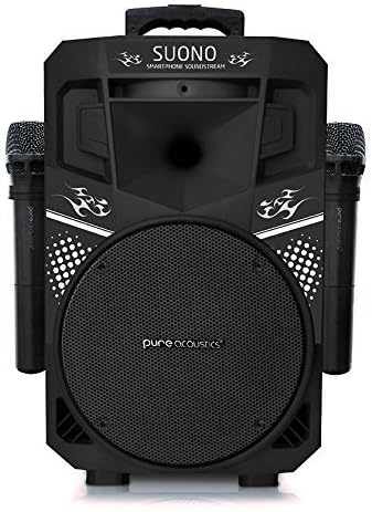 Sistema PA inalámbrico portátil Bluetooth, altavoz de audio de 8 pulgadas y dos micrófonos gratuitos (negro)