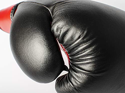 Boxhandschuhe 10 oz Paffen Sport Allround ECO für das Training