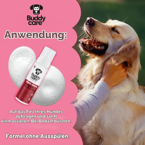 Buddycare Wasserloses Trockenshampoo für Hunde (200 ml) – Black Cherry Duft, für empfindliche Haut, natürliches Hunde-Trockenshampoo ohne Ausspülen, für sauberes & frisches Fell, alle Rassen & Größen