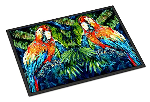 Caroline's Treasures MW1216JMAT Parrots Yo Yo Mama Doormat 24x36 Front Door Mat Indoor Outdoor Rugs for Entryway, Non Slip Washable Low Pile, 24H X 36W