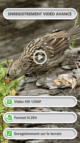 Caméra de chasse GardePro E8P Max rechargeable pour éviter les pannes - 6