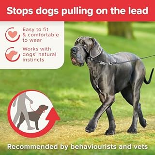 Gentle Leader/Collare a Cavezza Nero Grande (Boxer, Dobermann)