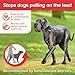 Beaphar | Gentle Leader | Halfter für große Hunde | Stoppt das Ziehen an der Leine | Trainingshilfe mit Sofortwirkung | von Verhaltensweisen empfohlen | Schwarz x 1